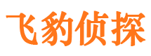 喀什外遇调查取证